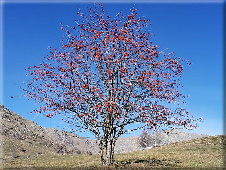 foto Valle dell' Elvo